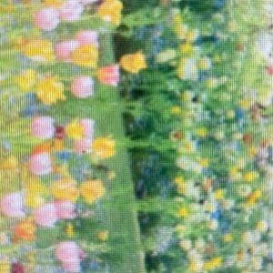 Meet your Posher, Alexanderchri